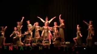 Vienna Dance Kids Junioren  Robin Hood 2013 [upl. by Annitsirhc]