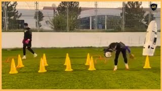 Professional Goalkeeper Training [upl. by Rovaert482]