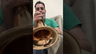 Estudos de FlugelHorn  26102024 [upl. by Aridan]