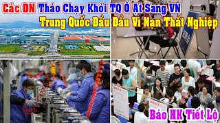 BHồng KôngTrung Quốc Đau Đầu Vì Thất Nghiệp Nhà Máy Lườm Lượp Chuyển Sang Việt Nam Ấn Độ … [upl. by Oiragelo296]