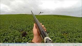 Concours Saint Hubert partie 1 départemental  chasse du faisan au chien darrêt braque allemand [upl. by Wohlert]