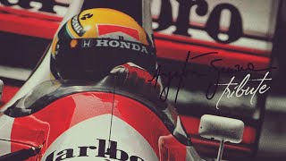 Ayrton Senna  Tribute [upl. by Sirdna519]