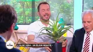 Laloe vera  un élixir de beauté [upl. by Tnert]