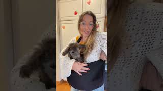 Pawaboo Dog Sling Carrier Review  UltraComfortable Pet Sling for Small Dogs amp Cats [upl. by Akered]