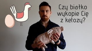 Czy nadmiar białka wyrzuci Cię z ketozy [upl. by Cirdla]