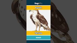 🇬🇧🇵🇹 hawk  falcão  vocabulary builder  learn English  vamos aprender inglês [upl. by Ad]