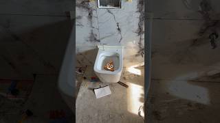 Geberit WC test [upl. by Oriel]