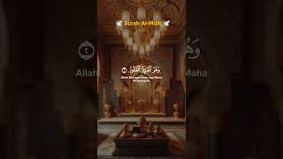 AlMULK  Muhammad Taha quran shots quranrecitation islamicshorts [upl. by Nosirb]