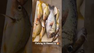 Fishing in Hawaii is rewarding🎣🔥 fishing hawaii hawaiifishing [upl. by Gulgee]