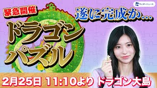 【緊急開催】ドラゴンパズル（遂に完成か） 大島璃音キャスター2024225日 1110〜 [upl. by Julis]