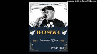 Emmanuel Pifano Watseka Tribute to Lucius Banda [upl. by Neesay]