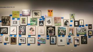 Percivals 2020 Animal Portrait Winner Artist Talk [upl. by Gilliam]