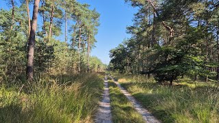 Trailrun Vierhouten [upl. by Teodoro38]