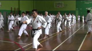 Junro Nidan Kato Ryu Kata [upl. by Glennie]