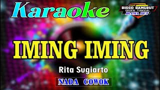 Iming Iming  Karaoke Nada Cowok Rita Sugiarto  Disco Dangdut Orgen Tunggal [upl. by Asiulairam]