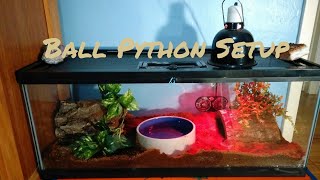 Ball Python Setup 20 gallon [upl. by Aretta]