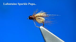 Tying the Lafontaine Sparkle Pupa with Davie McPhail [upl. by Nylle639]