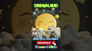 Nighttime Moonlight Lullabies for Babies [upl. by Atyekram]