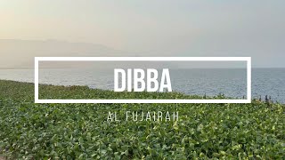 COUNTRYSIDE LONG DRIVEDIBBA AL FUJAIRAHPLACES TO VISIT IN UAE [upl. by Ariada785]