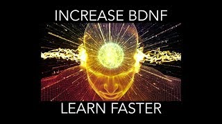 How to increase BDNF [upl. by Annavahs754]