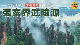 4K Virtual Walk in Zhangjiajie Wulingyuan Scenic Area  Hunan China [upl. by Riley73]