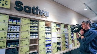 SQDC First look inside new Montreal cannabis store [upl. by Robers]