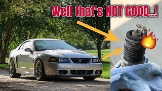 Spark Plug Change Did I Fix It  2003 Mustang Cobra [upl. by Bank]