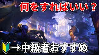 【アルビオンオンライン】初心者の進め方→中級者おすすめの経験値＆シルバーの稼ぎ方 [upl. by Elvina]