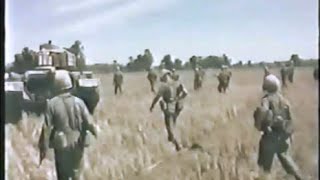 Battlefield Vietnam  196667 Ground Operations [upl. by Notnad]