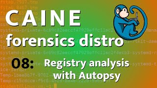 Windows Registry analysis using Autopsy  CAINE  08 [upl. by Kcirtemed609]