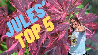 Jules’ Top 5 Trees  Japanese Maples amp Rare Plants [upl. by Gayl]