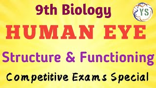 HUMAN EYE  Structure amp Functioning  Sense organs  9th Biology  Competitive Exams Special [upl. by Nelram]