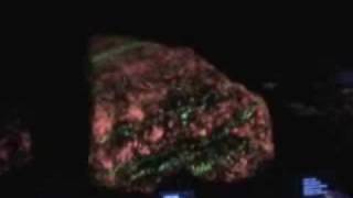 Fluorescent Mineral display Geofair 2009 [upl. by Akihsat72]