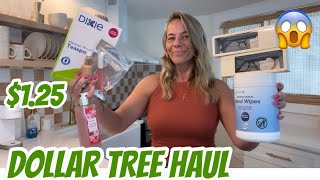 DOLLAR TREE HAUL  NEW  AT THE BEACH  AMAZING BRAND NAME FINDS [upl. by Arawaj]