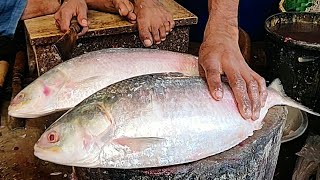 Perfect Hilsa ilish Fish Cutting  Fish Cutting In Bangladesh [upl. by Effy]