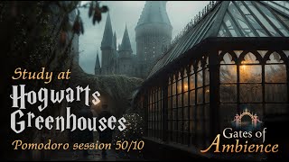 Harry Potter Ambience 📚 Rain at Hogwarts Greenhouses  3H Pomodoro 5010 [upl. by Pavlish]