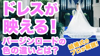 【プロが解説】ウェディングドレスが映える！バージンロードの色の違いとは！？【結婚式場】【カラードレス】【アニヴェルセル】 [upl. by Inattirb784]