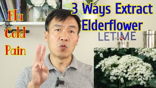 Elderflower Benefits and Uses Elderflower Tea Tincture and Hydrosol Differences and How to Extract [upl. by Gerianne]