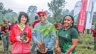 A 2000 Tree Microforest at Lenana School GGI In collaboration with DTB and Furaha amp Baraka [upl. by Starbuck]