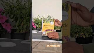 Unboxing bio pesticides ⚡️triple attack ✨️biopesticides biopesticide meaning [upl. by Wooster]