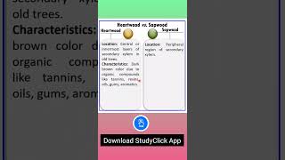 Difference Between Heartwood and Sapwood  Anatomy of Flowering Plants  Part 13 neet [upl. by Ezmeralda]