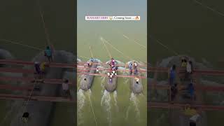 Sangam nagari prayagraj youtubeshorts paryagraj kumbh [upl. by Lunneta]