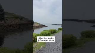 Adventure awaits  Ogunquit Maine summermemories maine places [upl. by Wesla]