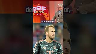 „Irgendwo hat sich Kane verloren“  Reif ist Live shorts [upl. by Ojillib]