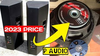 P audio Speaker Price in 2023  500watt Speaker price  15BM500B SPEAKER FULL REVIEW [upl. by Murat978]