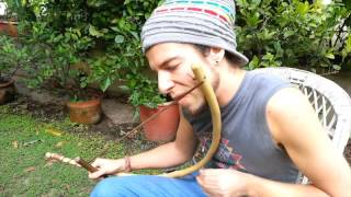 Mongongo vibes  traditional mouthbow music of Gabon [upl. by Yonatan]