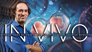 Ep 13  In Vivo with Dr Oded Rechavi On The Genetic Transmission of Memories [upl. by Feerahs]