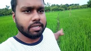 Jiibone just 2 Ta jinis Mone Rakhben  New Vlog 2024 [upl. by Becky]