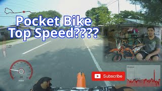 Enduro Pocket Bike 49cc TOP SPEED ALL STOCK  GPS  STRAVA  PIT BIKE [upl. by Felicidad]