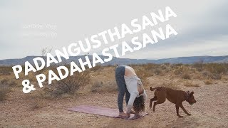 Padangusthasana and Padahastasana How To Beginner Yoga DEEP Forward [upl. by Annoyik475]